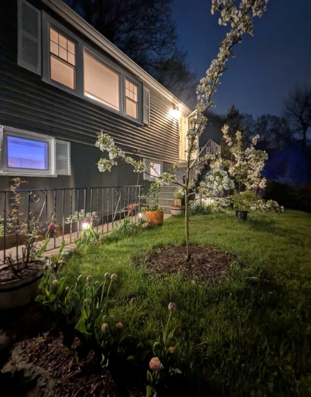 Building Photo - 12 James St