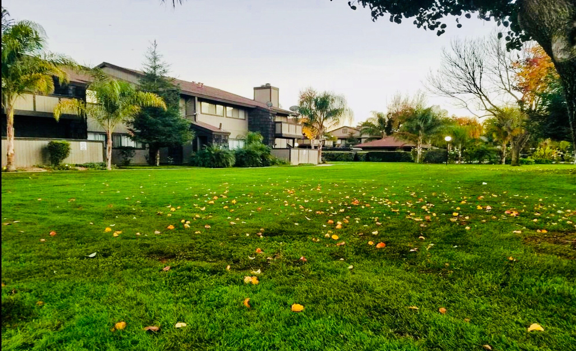 Well maintained grounds open and spacious grounds. - 1190 S Winery Ave