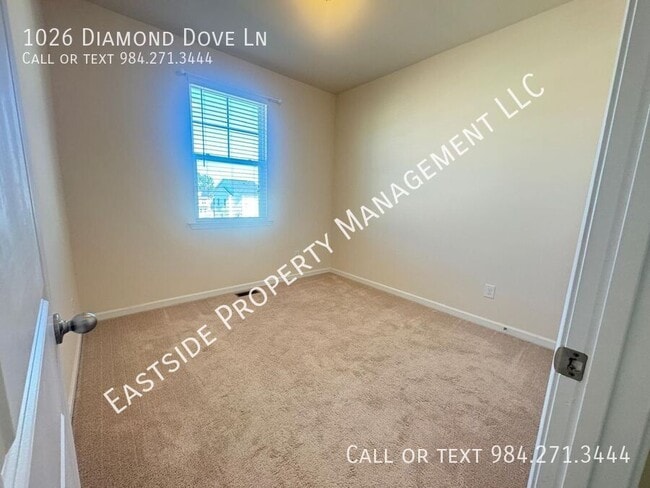 Building Photo - 1026 Diamond Dove Ln