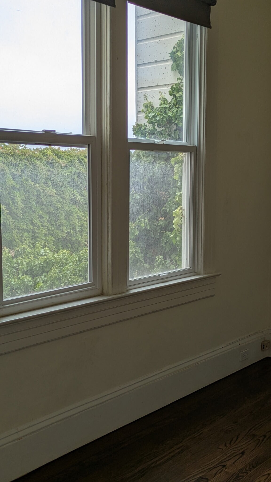 Dinning Room Window - 1915 Grant Ave