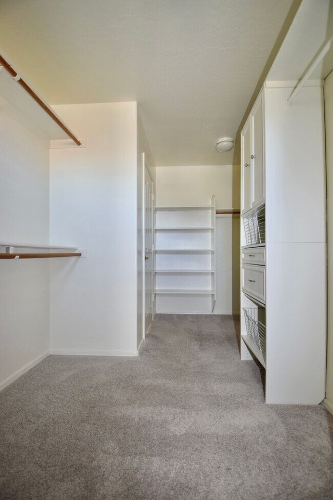 Building Photo - Beautiful Seville Area 4 bedroom Home!