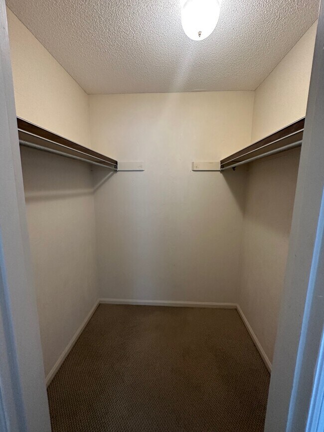 Building Photo - 3800 Saxon Dr