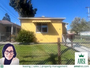 Building Photo - AMSI - Sunny One Bedroom