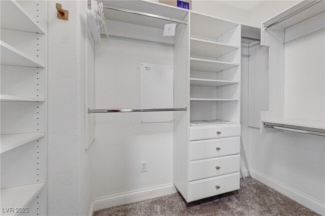 Building Photo - 937 Ambrosia Dr