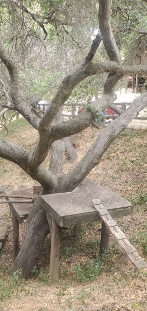 Building Photo - Escape to Your Own Private Retreat Among the Oaks