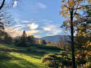 Building Photo - Woodstock/Hunter romantic getaway in nature on 3.5 acres