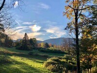 Building Photo - Woodstock/Hunter romantic getaway in nature on 3.5 acres