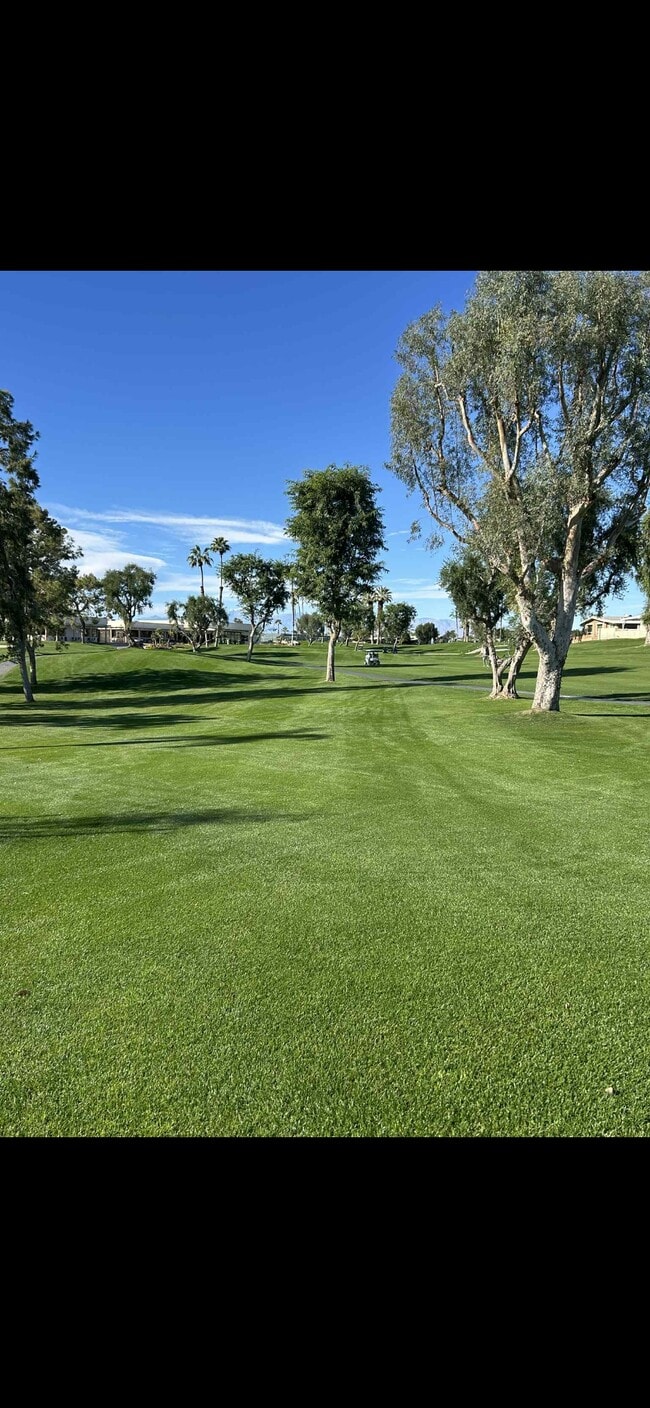 Building Photo - 39281 Palm Greens Pkwy