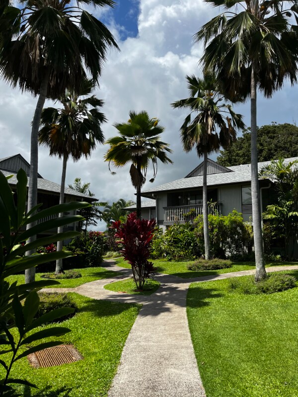 4121 Rice St 4121 Rice St Lihue HI 96766 Apartment Finder