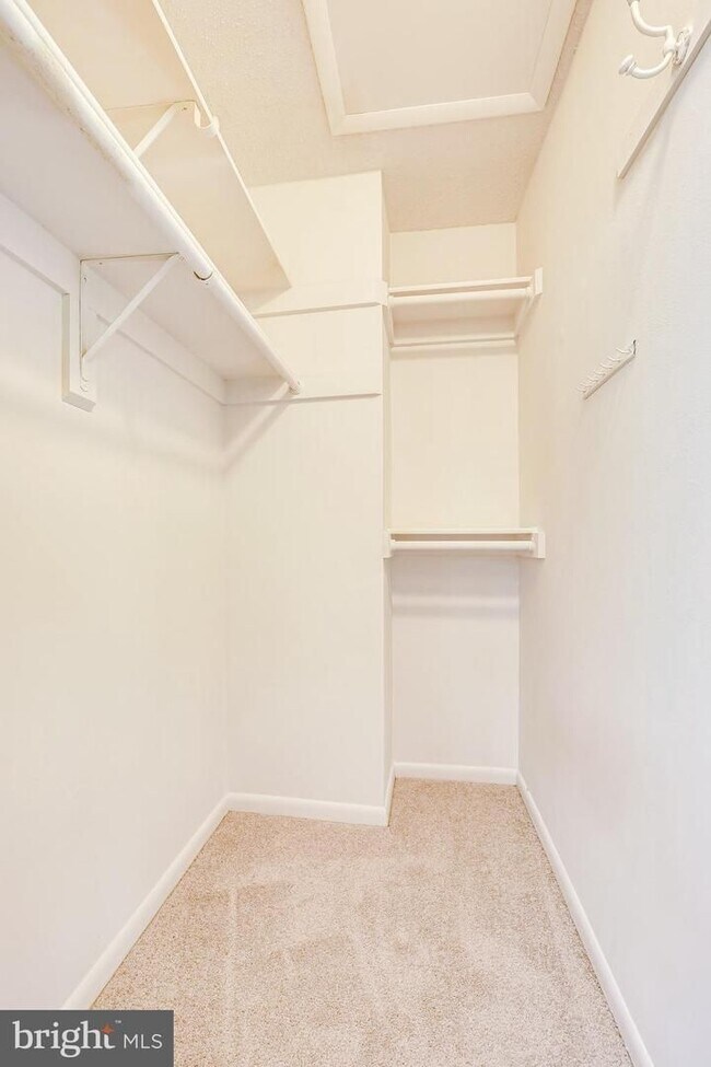 Building Photo - See what Reston has to offer!