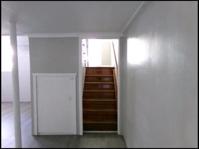Building Photo - 203 Winchester Trail