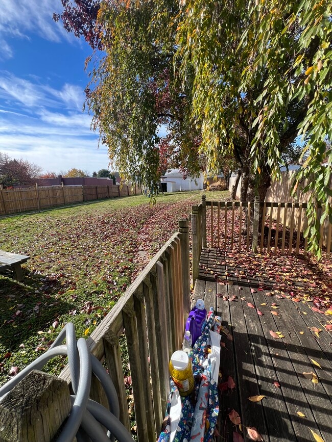 Backyard - 319 Centennial Ave