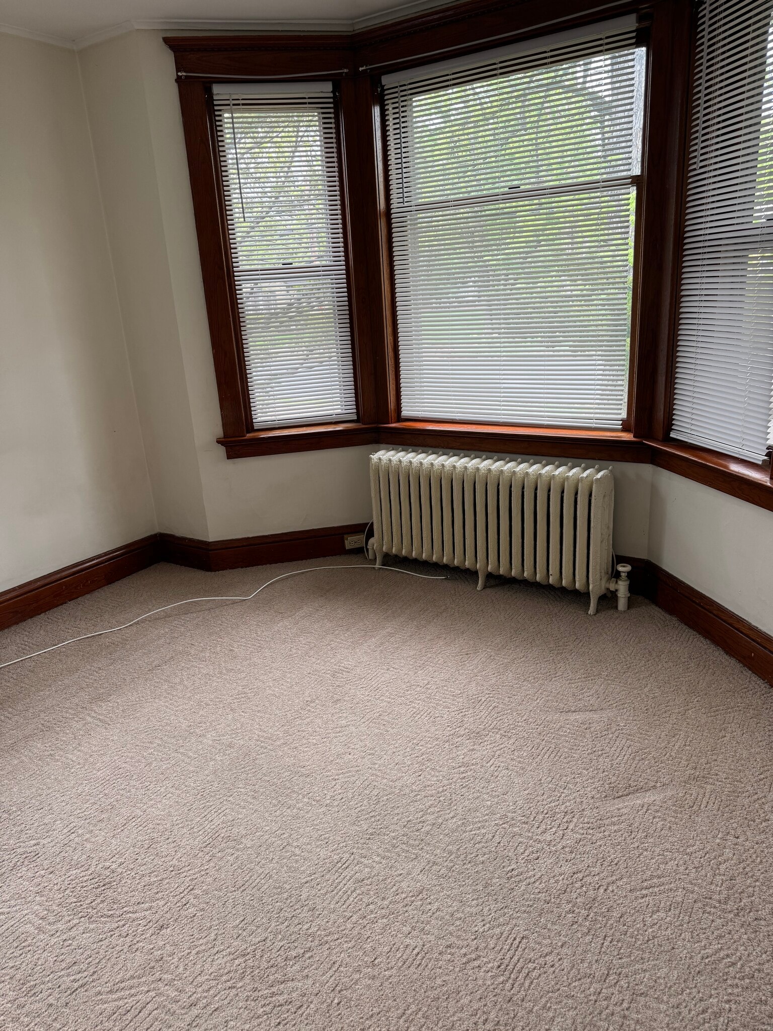 Living room - 216 South St