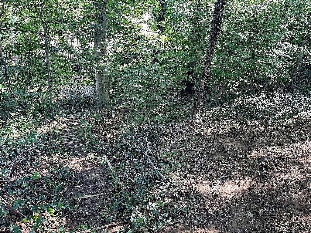 Trails - 69 Old Mill Bottom Rd N