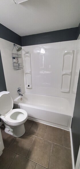 Master bath, now has standing white storage shelf behind toilet as well. - 313 Britanna Dr