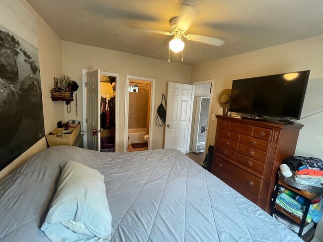 Building Photo - Awesome beach cottage across the Street fr...