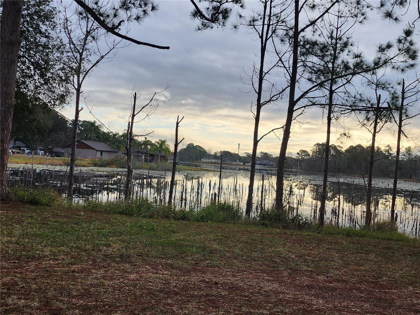 Building Photo - 2033 Quintilis Ct