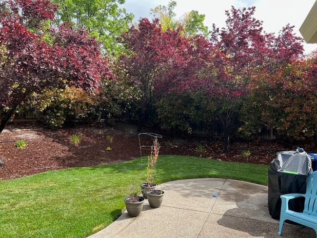 Building Photo - 7311 Briza Loop