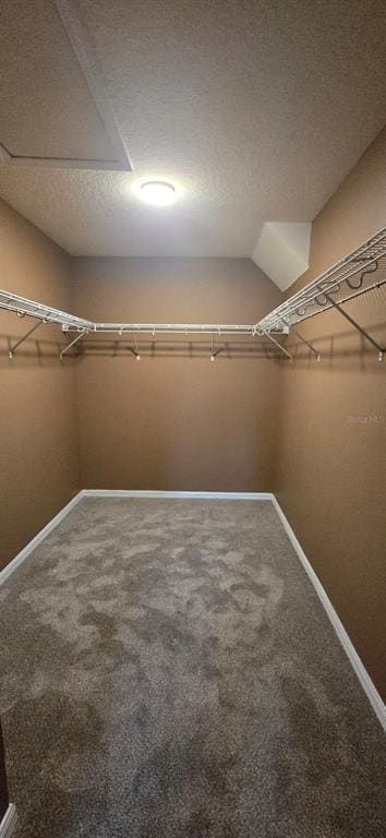 Building Photo - 1 Pecan Course Ct