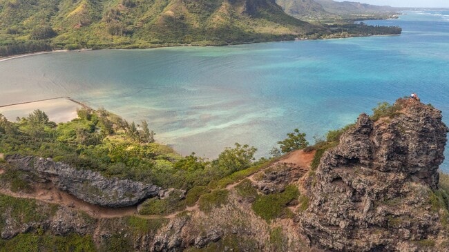 Building Photo - Epic Ocean-View 1bd at Makaua Village — Fully Renovated, Furnished, 2 Parking