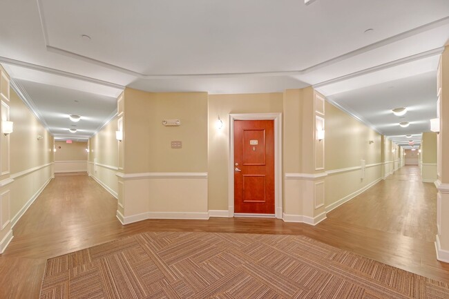 Building Photo - Luxury Treetop Penthouse