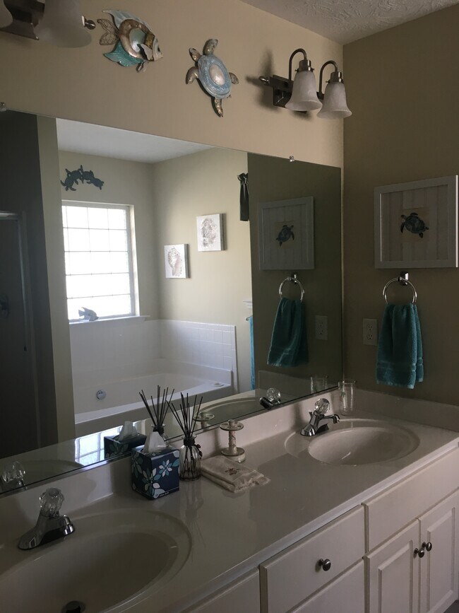 master vanity - 1243 Carriage Dr