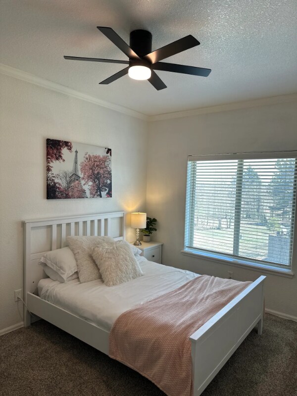 Building Photo - 106 Joshua Rd