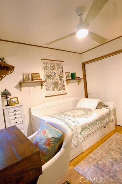 Building Photo - 832 Community Dr