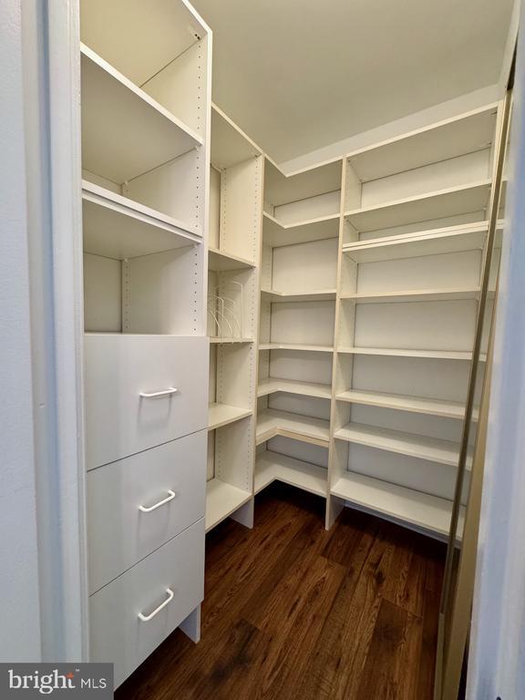 Building Photo - 3885 Steppes Ct