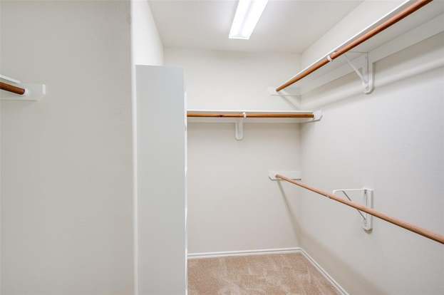 Building Photo - 105 Summerhaze Ct