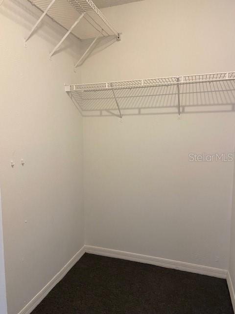 Building Photo - 6124 Westgate Dr