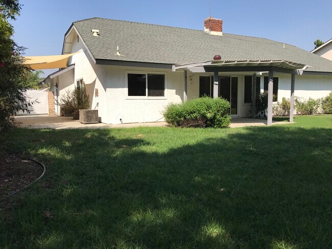 backyard - 25559 Mandarin Ct