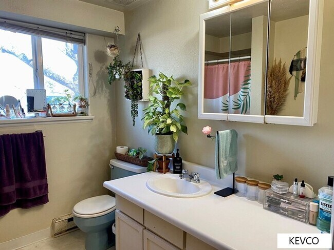 Building Photo - 1236 Maple St