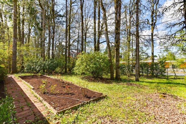 Building Photo - Terra Linda Home - 3 Bedrooms, 2 Baths, 1,...