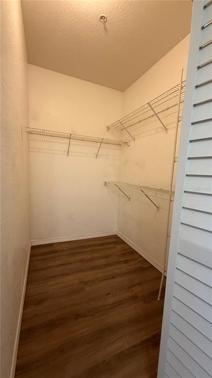 Building Photo - 2537 Maitland Crossing Way