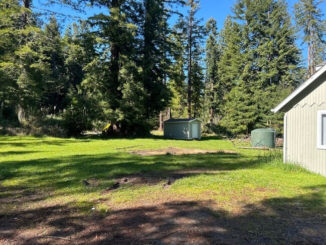Building Photo - Pet Friendly ~ Rare Country Living Opportunity In Kneeland! 3 Bedroom, 1 Bathroom on 6 Acres