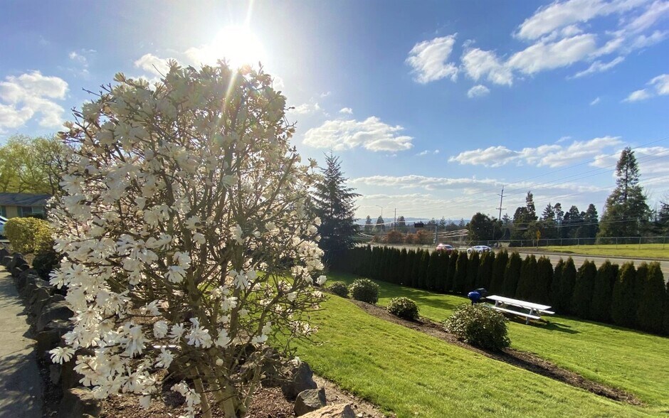 Building Photo - 11240 SW Barbur Blvd