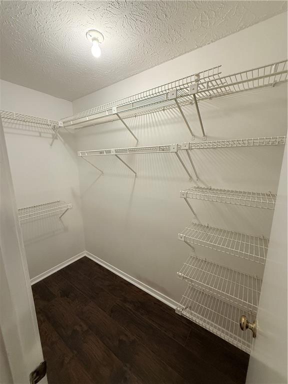 Building Photo - 423 Warm Springs Cir