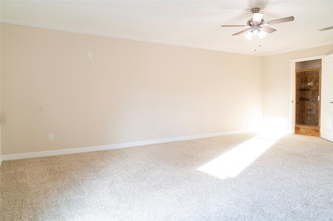 Building Photo - 1419 Colorado St