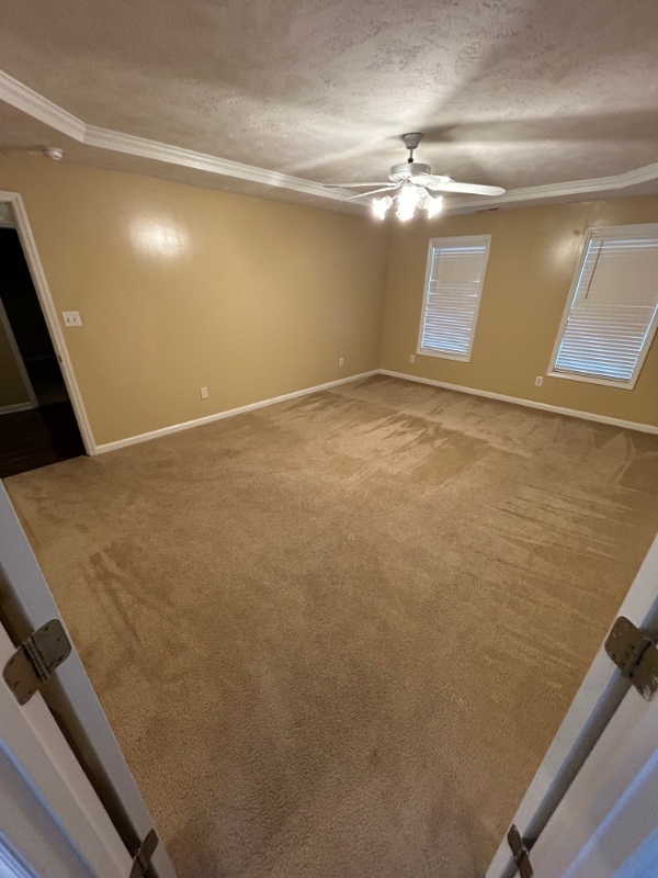 Building Photo - 320 Peterson Pl