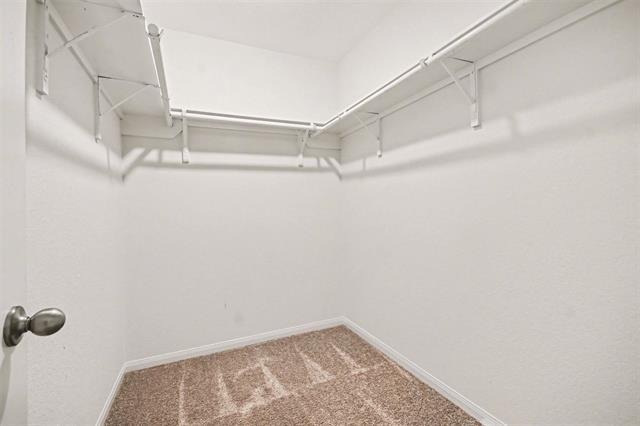 Building Photo - 7218 Bakersfield Ct