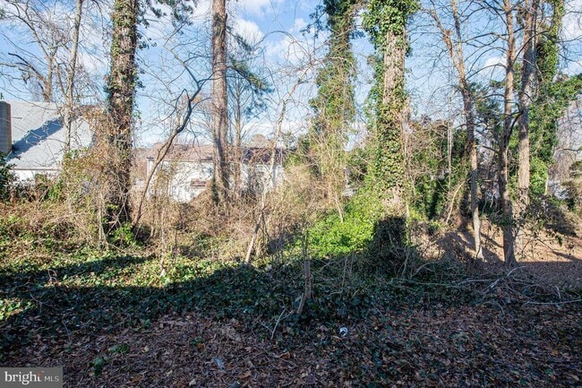 Building Photo - 417 Winder St