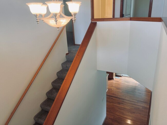 Building Photo - Enormous 4 Bed 2.5Bath + Bonus Room Great Lacey Neighborhood