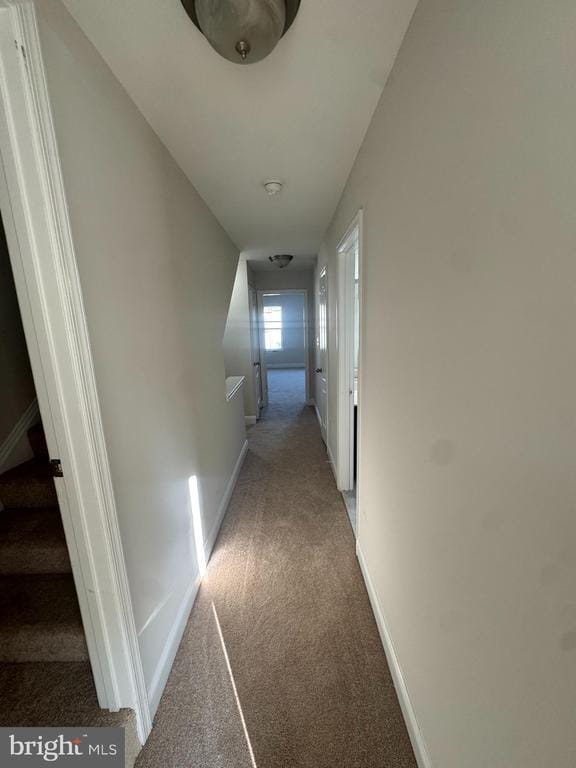Building Photo - 4424 Potomac Highlands Cir