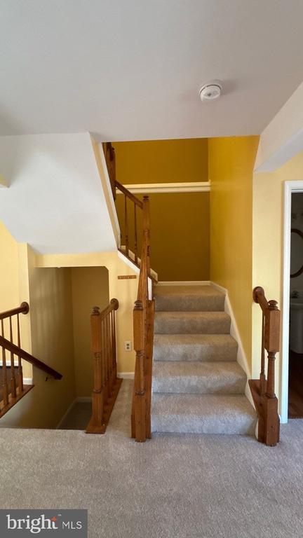Building Photo - 709 Pine Drift Dr