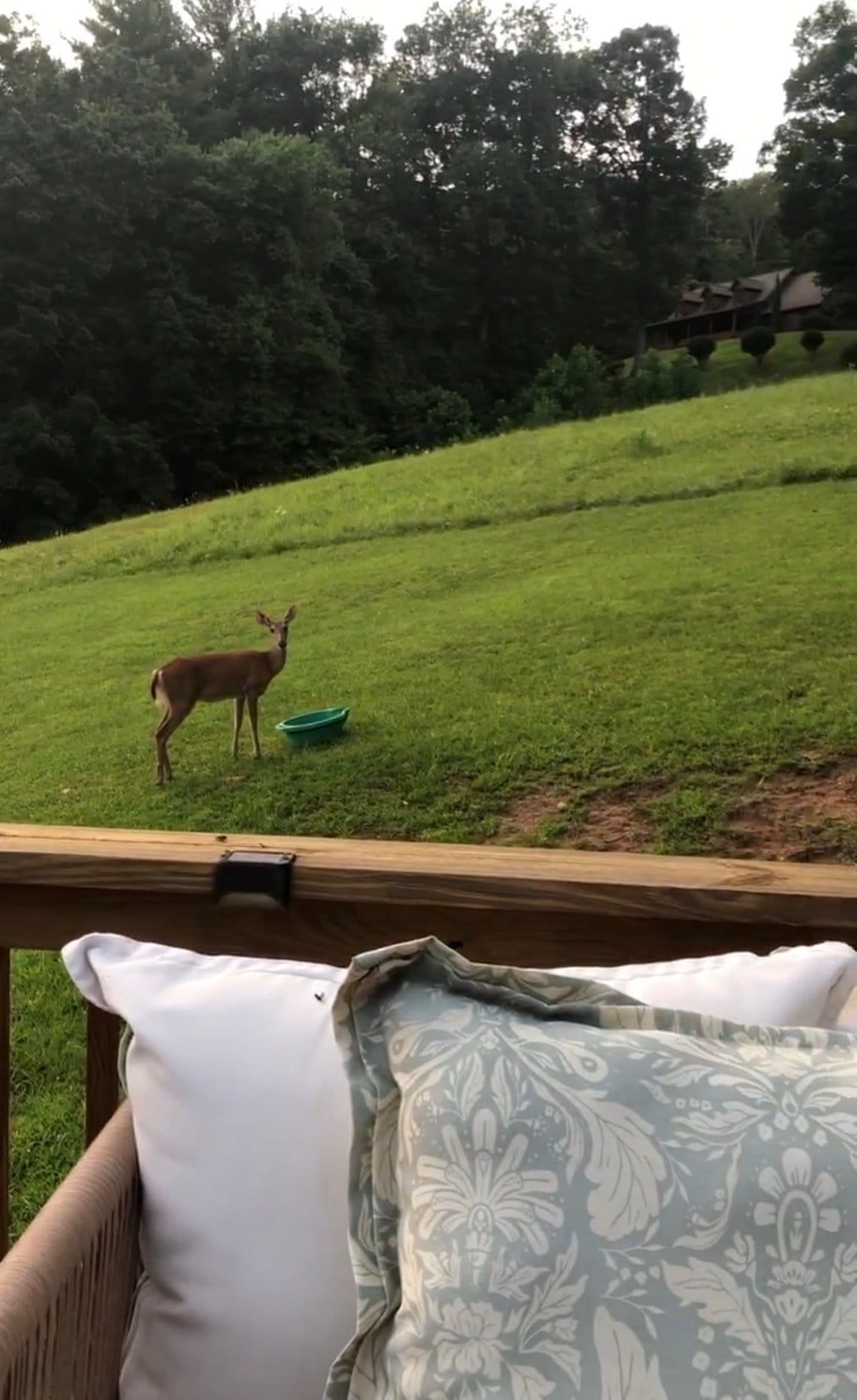 Building Photo - 111 Sunrise Ln