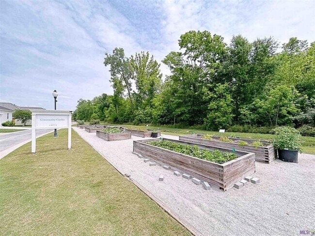 Building Photo - 4 Bedroom House in Pointe Marie- Furnished or unfurnished rental options available.