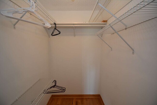 Building Photo - 58 Comanche Ct