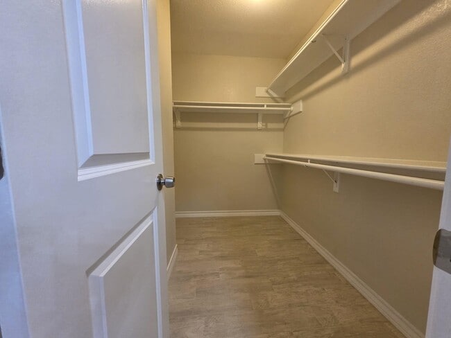 Building Photo - 1703 Violeta Ct