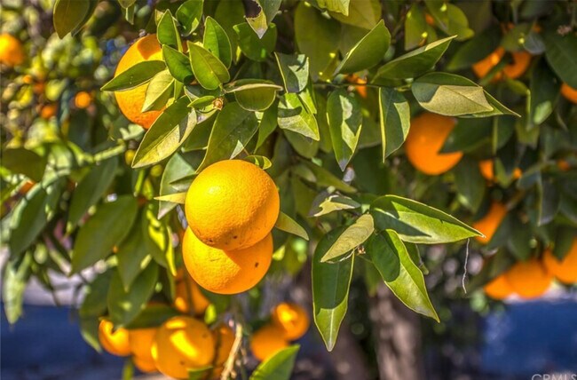 Building Photo - 25380 State St